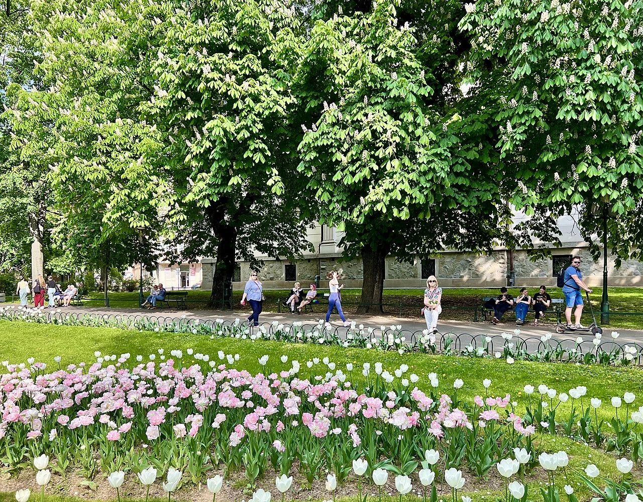 A path in Planty Park, photographed in May 2022